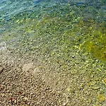 Maremio *