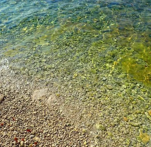 Maremio *