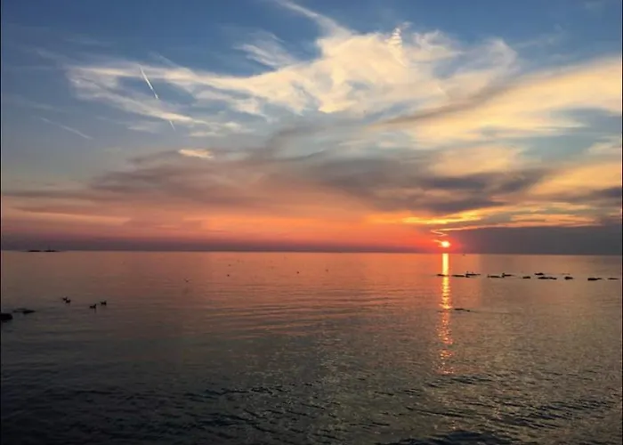 Maremio *