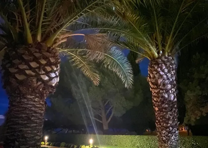 アパート Maremio